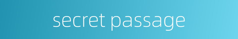 secret passage的同义词