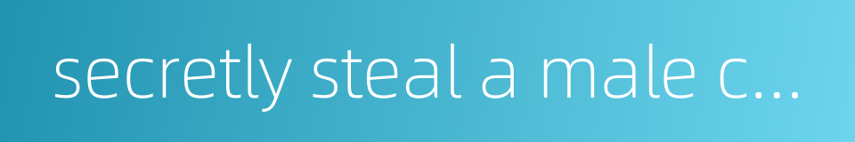 secretly steal a male child and substitude a female child的同义词