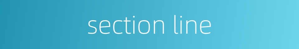 section line的同义词
