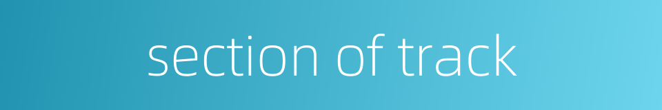 section of track的同义词