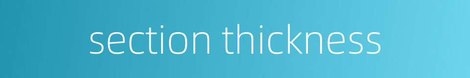 section thickness的同义词