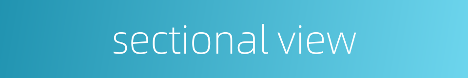sectional view的同义词