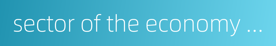 sector of the economy which is owned by the collectives的同义词