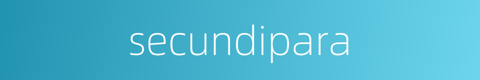 secundipara的同义词