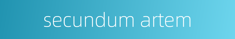 secundum artem的同义词