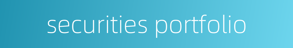 securities portfolio的同义词
