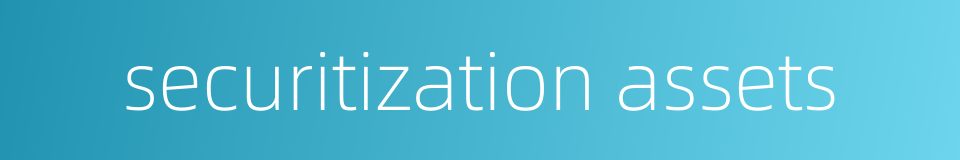 securitization assets的同义词