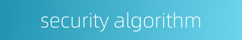 security algorithm的同义词