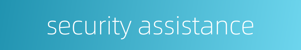 security assistance的同义词