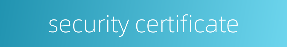 security certificate的同义词