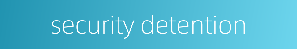 security detention的同义词