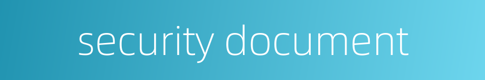 security document的同义词