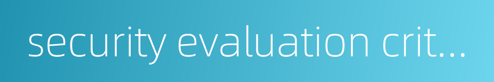 security evaluation criteria的同义词