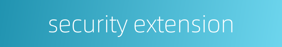 security extension的同义词