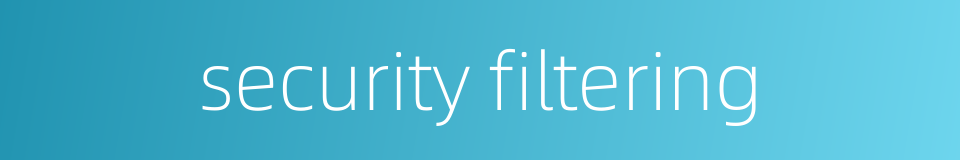 security filtering的同义词