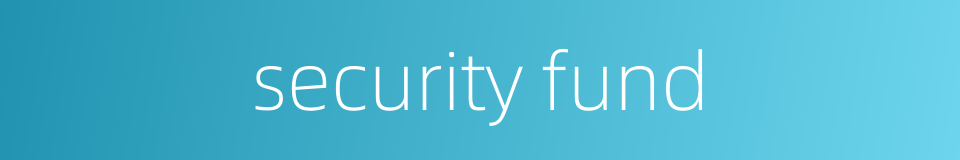 security fund的同义词