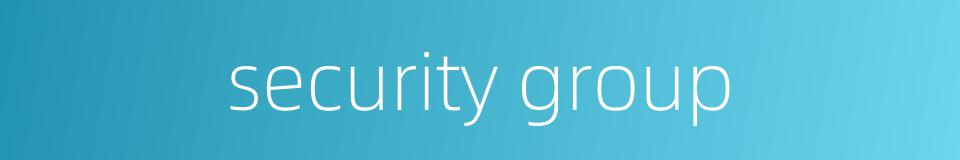 security group的同义词