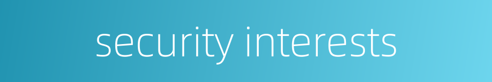 security interests的同义词