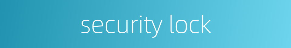 security lock的同义词