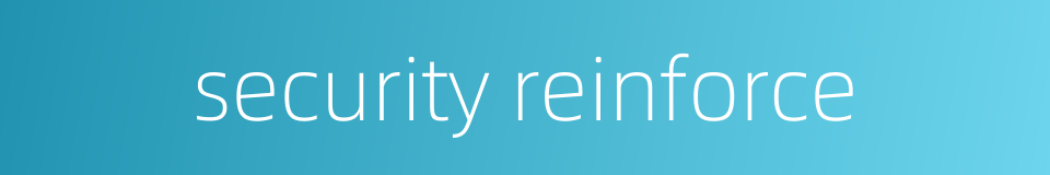 security reinforce的同义词