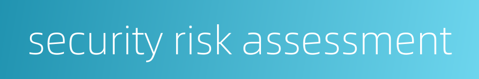 security risk assessment的同义词