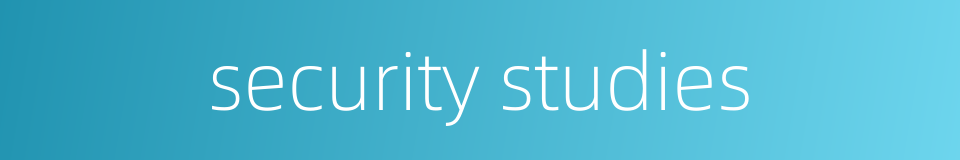 security studies的同义词