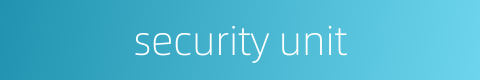 security unit的同义词