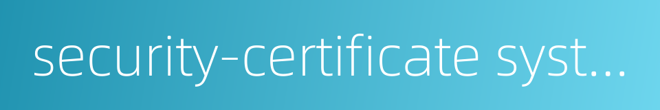 security-certificate system的同义词