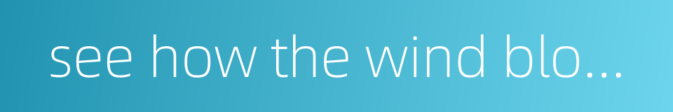 see how the wind blows in order to achieve one's evil ends的同义词