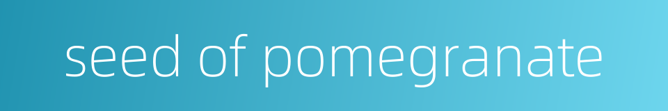 seed of pomegranate的同义词