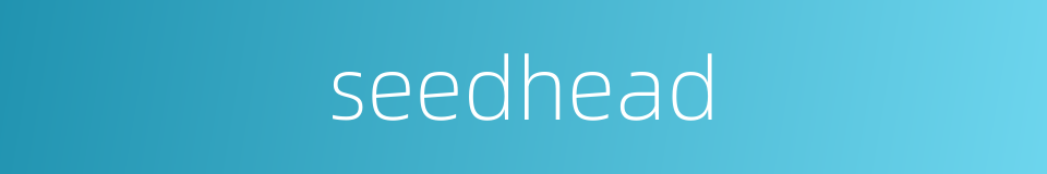 seedhead的同义词