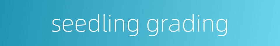 seedling grading的同义词