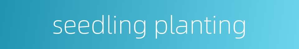 seedling planting的同义词