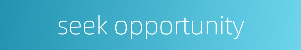 seek opportunity的同义词
