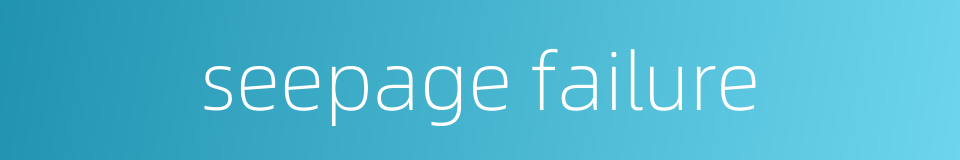 seepage failure的同义词