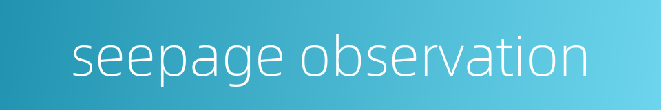 seepage observation的同义词
