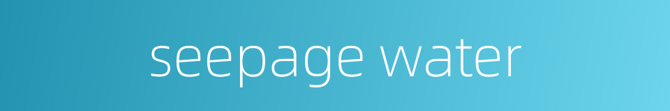seepage water的同义词