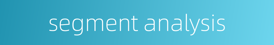 segment analysis的同义词
