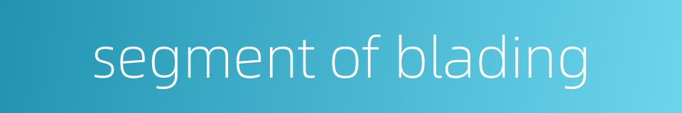 segment of blading的同义词