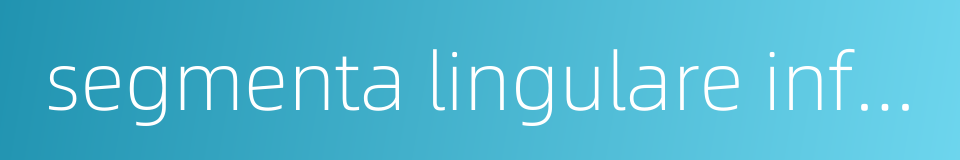 segmenta lingulare inferius的同义词