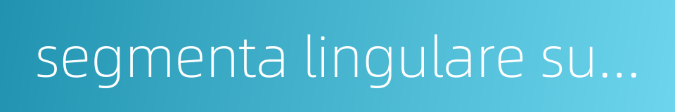 segmenta lingulare superius的同义词