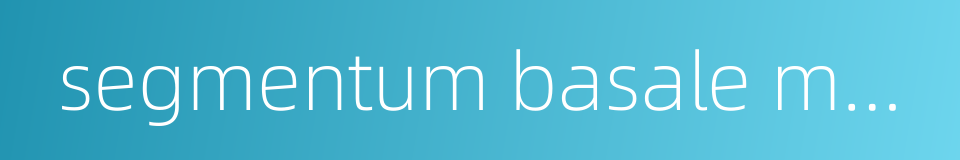segmentum basale medial的同义词