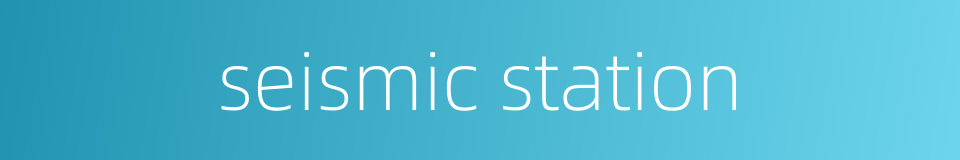 seismic station的同义词