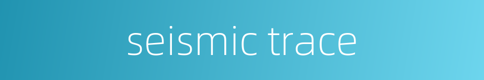 seismic trace的同义词