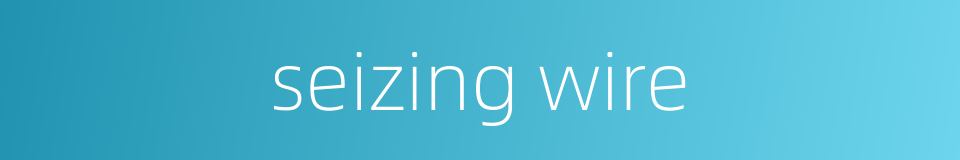 seizing wire的同义词