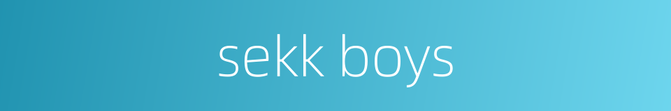 sekk boys的同义词