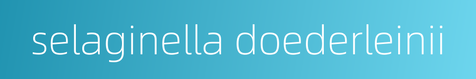 selaginella doederleinii的同义词