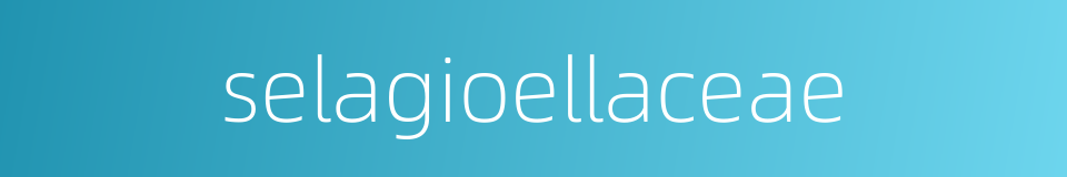 selagioellaceae的同义词