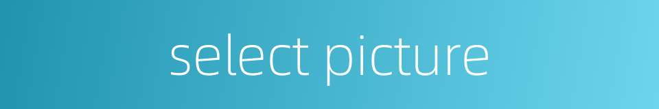 select picture的同义词
