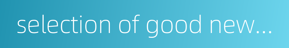 selection of good news stories的同义词